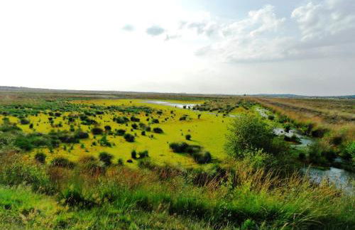 Ferienwohnung Uchte - Photo 54