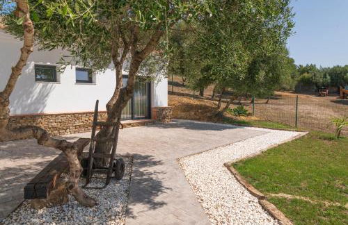 Finca Florida - Foto 52