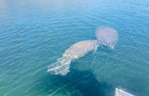 Larkin's Corner Salt Springs Resort Cottage 10 - Foto 22