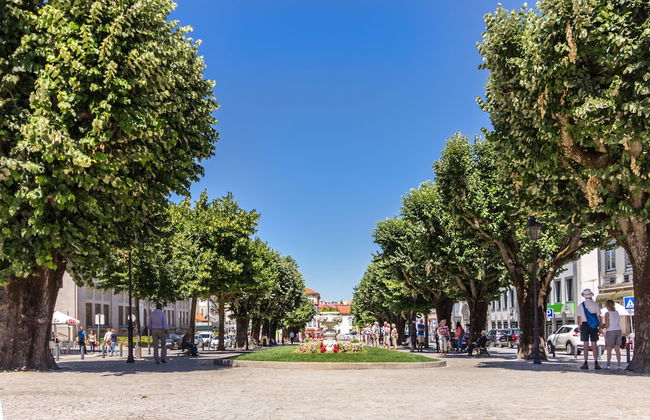 Casa de Monsanto I Lamego - Foto 61