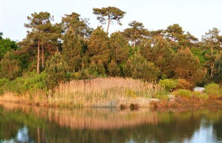 Locaplage - Photo 37