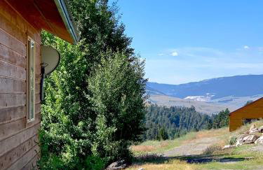 Mammoth Overlook Of Yellowstone - Foto 34