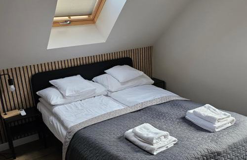 All Season Lasówka - Klimat - Willa 10 osobowa z widokiem na góry, Sauna opalana drewnem, Jacuzzi 4km do Zieleniec SKI Arena - Foto 58