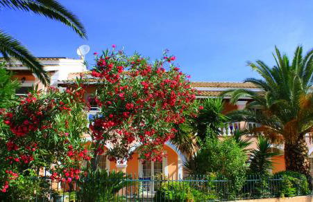 Lea Family Resort - Foto 17