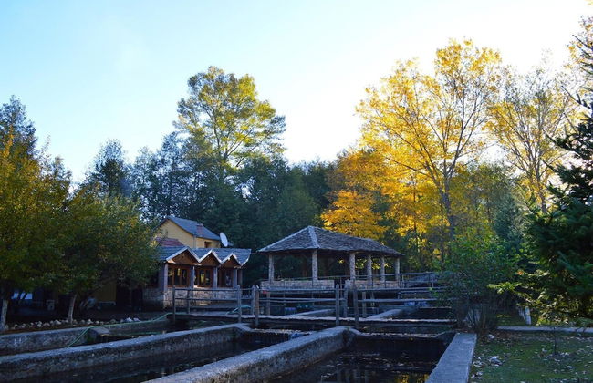 Farma Sotira - Foto 46