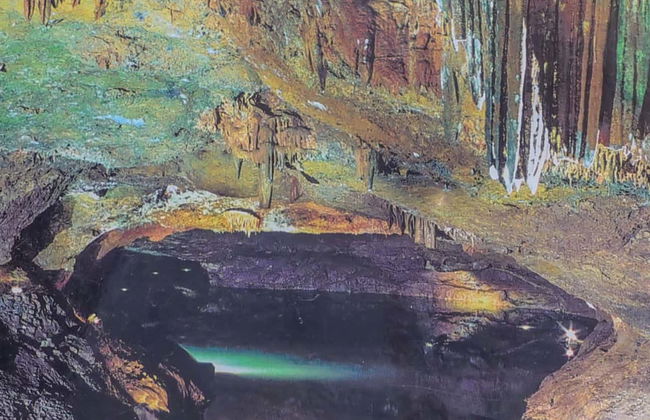 Excursion aux grottes de San José - Photo 1