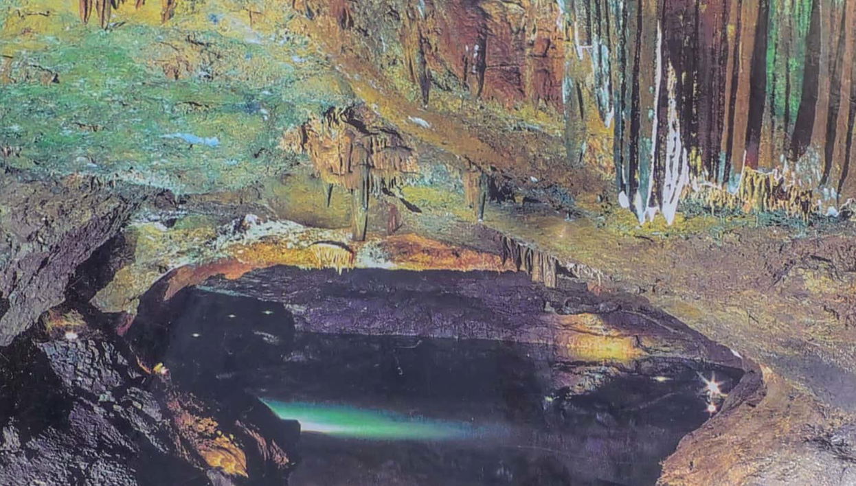 Excursion aux grottes de San José