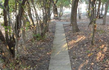 Aroggia Farm - Foto 65