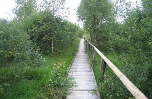 Ferienwohnung Palm - Foto 33