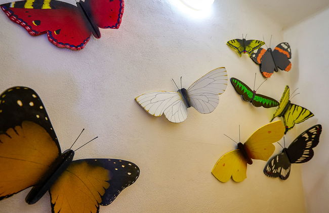 Zlata Olesnice - Foto 20