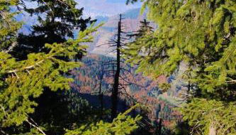 Ferienwohnung Hirschkopf - Foto 3