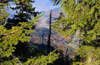 Ferienwohnung Hirschkopf - Foto 3