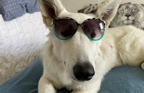 Rifugio Futopia - start here your journey to the discovering of the Alpi Graie - Foto 55