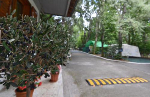 Camping Orpheus Apartments - Foto 62