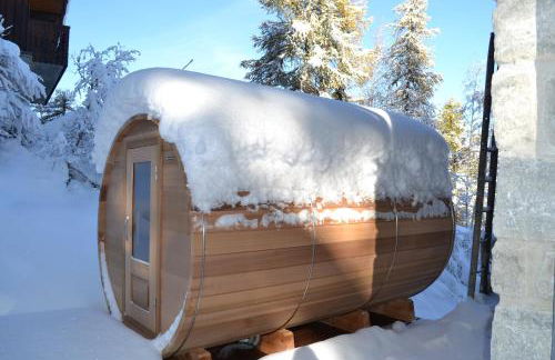 Fabulous chalet La Plagne - ski in-ski out - Sauna with Mont Blanc view - Foto 5