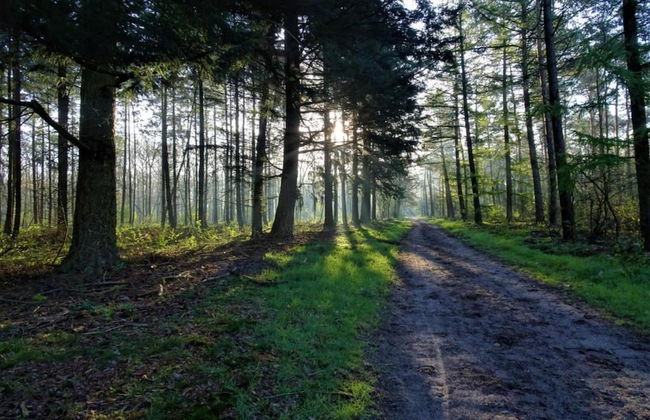 Bungalow in Veluwe Near Harderwijk - Photo 24