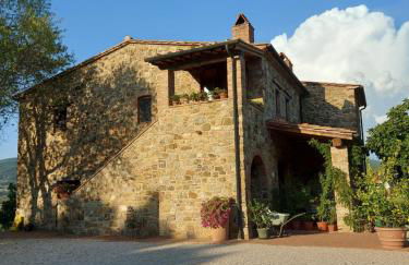 Sport Bikes and Nature - Foto 4