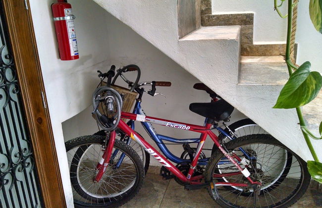 Xtansia Pakal - Foto 22