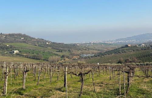 casa villa degli ulivi - Foto 26