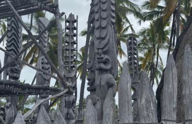 Shores at Waikoloa 132 Hale Kai - Foto 59