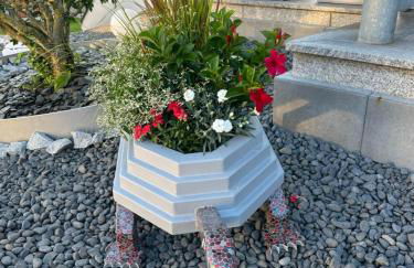 Heidis Ferienoase - Foto 20