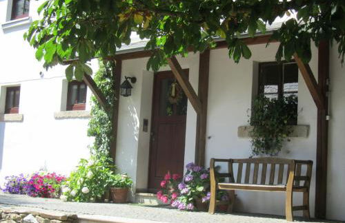 Bio Ferienhof Erzengel - Foto 20