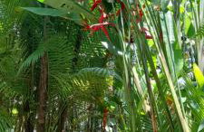 Casas Oceano - Foto 17