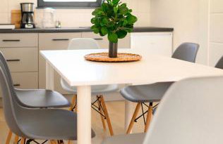 Morski Las - Photo 3