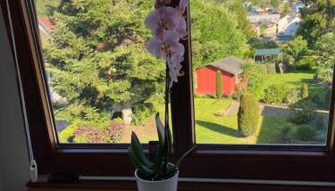 Ferienwohnung Aussichtsreich - Photo 5