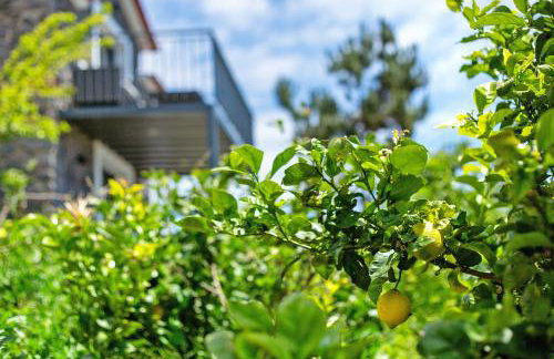 Refugio Do Lourinho - Foto 30