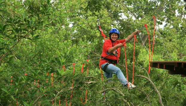 Overcoming obstacles in the trees