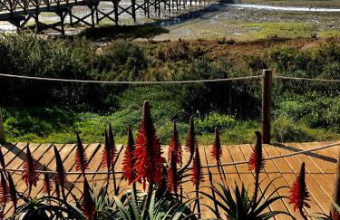 Villa Cristipaulo - Foto 36