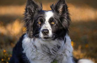 Agriturismo La Fonte - Photo 21