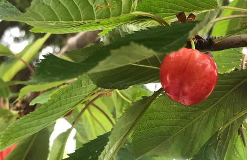 Rocca di Corno Guest House - Photo 58