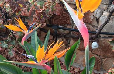 Pontinos Villa - Photo 53