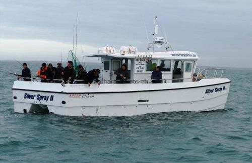 Spacious 5-Bedroom Victorian House Near Sandbanks - Sleeps 14, Parking & Garden - Foto 38