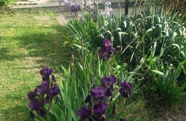 Studio Buena Vista avec terrasse sur jardin - Foto 3