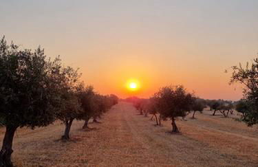 Casa da Avó Mirinha - Foto 11