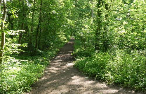 Fab 2 Bed Cotswolds Cottage With Private Courtyard - Foto 79