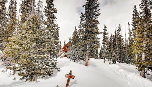 Stay at the Treeline with Fabulous Views! On Top of the World at Ptarmigan Lodge - Foto 5