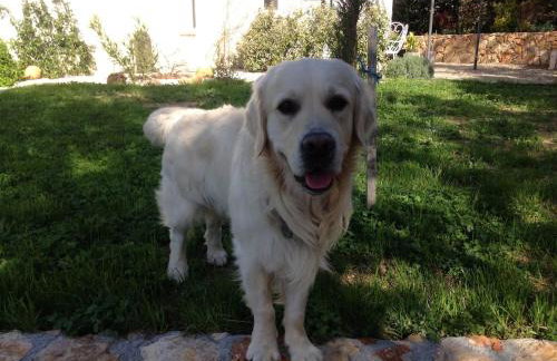 L'Autre Perle, balnéo en supplément, le Clos des Perles - Foto 52