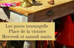 85 l idéal , quiet charm in Tours - Foto 14