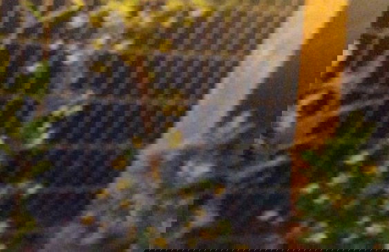 Refúgio Aconchegante em Canela CAN131 - Foto 20