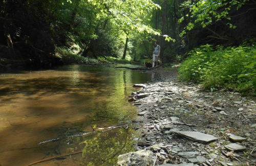 Sabershausen Landhof Sonne - Foto 74