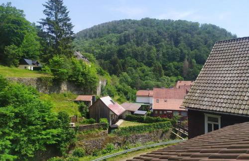 Haus am Wald Zorge 16+ Gäste - Foto 21