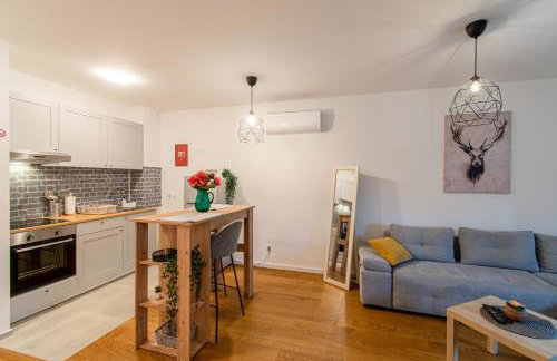 Flexible SelfCheckIns 39 - Zagreb - Parking - New - Foto 6