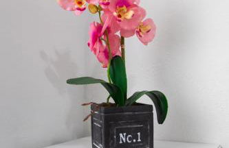 Miriam Costa de la luz - Foto 32