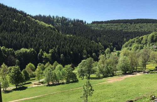 Ferienwohnung Nordenau - Foto 8