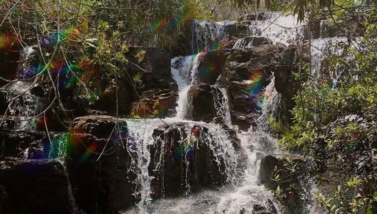 Águas do Cerrado Waterfalls Hiking Tour - Foto 1