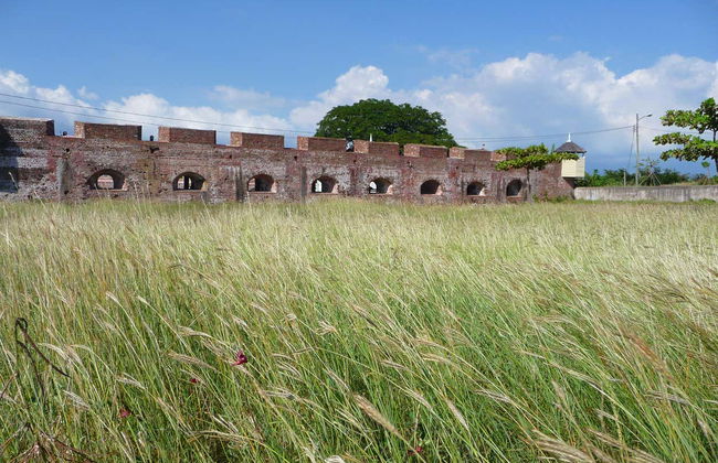 Tour privado por Kingston - Foto 1